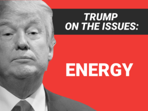 Energy and the Administration:  Wins – Yes, Style Points – Nope